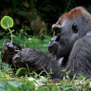 Meet your Posher, Jerry